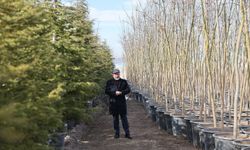 Başkan Çolakbayrakdar: 'Şehrin yeşil geleceğini Kocasinan'da inşa ediyoruz'