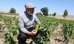 Başkan Çolakbayrakdar: 'Toprağımıza bereket, çiftçimize yeni kazanç kapısı açıyoruz'