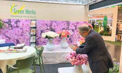 Başkan Yalçın'dan 'Çiçek Yılı' için hızlı adımlar