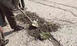 Başkentte belediyeden umudu kesen vatandaşlar köstebek yuvasına dönen yolları kendileri onardı