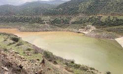 Bayındır'da yağmur bereketi: Zeytinova Barajı'nda su seviyesi arttı