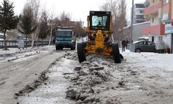 Belediyeden karla mücadele