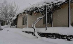 Beytüşşebap ve Uludere ilçelerinde kar yağışı etkili oldu
