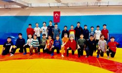 Bilecik'te sporcular, ata sporu güreşte ter döküyor
