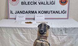 Bilecik'te uyuşturucu operasyonu: 1 gözaltı