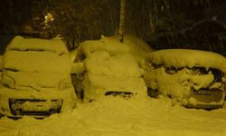 Bitlis'te kent merkezi beyaza büründü