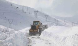 Bitlis'te yoğun karla mücadele çalışması