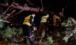 Bodrum Belediyesi fırtına dinlemedi