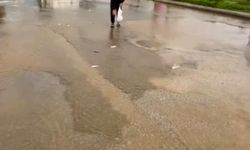 Bodrum'da sağanak baskını: Gölet taştı, asfalta balık yağdı