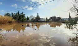 Bodrum'da selin tablosu gün ağarınca ortaya çıktı