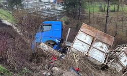 Bolu'da tır şarampole devrildi, elektrik direği zarar gördü