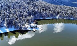 Bolu'nun incisi beyaz gelinliğini giydi