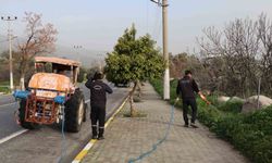 Bozdoğan'da yabani ot mücadelesi