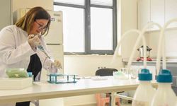 BŞEÜ'den dünyanın en saygın dergilerinden Food Chemıstry'de bir yayın daha