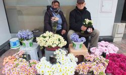 Burhaniye' de çiçekçiler 14 Şubat'ı bekliyor