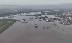 Bursa'da binlerce dekar ekili alan sular altında