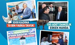 Büyükşehir ile Kayseri, hayvancılıkta yükselişte