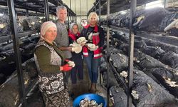 Çarşamba'da mantar hasadı etkinliği