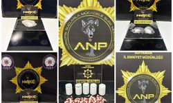 Çeşitli suçlardan aranan 11 şüpheli tutuklandı