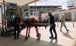 Ceviz ağacından düşen yaşlı adam ağır yaralandı