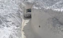 Çığ nedeniyle kapanan köy yolunda zorlu karla mücadele çalışması