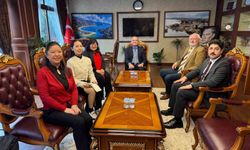 Çin heyeti Kaymakam Akkaya'ya ile görüştü