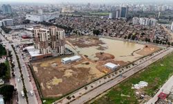 Coniler, Conolara komşu oluyor