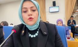 Denizli Milletvekili Ün kayıp 104 bin çocuğu sordu