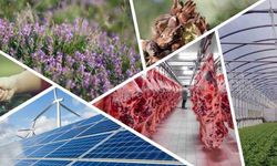 Denizli'de tarımsal kalkınmaya 82 milyonluk hibe desteği