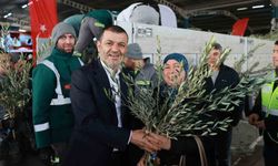 Denizli'nin 19 ilçesinde 84 bin zeytin fidanı üreticilere dağıtıldı