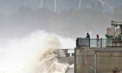 Dev dalgalar sahili dövdü: Martılar balık, define avcıları kıymetli eşya aradı