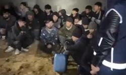 Diyarbakır merkezli göçmen kaçakçılığı operasyonu: 115 düzensiz göçmen yakalandı