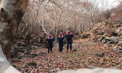 Diyarbakır'ın ekolojik dengesi Çevre ve Doğal Hayatı Koruma Kısmı tarafından korunuyor