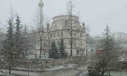 Düzce'de kar yağışı etkili oluyor