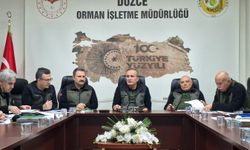 Düzce'de ormanlarla ilgili çalışmalar değerlendirildi