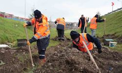 Düzce'de parklarda alt yapı çalışmaları sürüyor