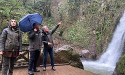 Düzce'nin korunan alanlarına inceleme