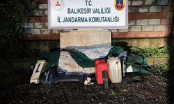 Düzensiz göçmenler zeytinlik alanda yakalandı