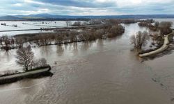Edirne'de yüzlerce dönüm tarım arazisi sular altında