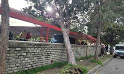 Efekent Pazaryeri'nde rüzgar ağacı devirdi