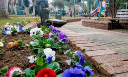 Efeler Belediyesi'nden çiçek düzenlemesi
