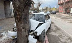 Ehliyetsiz sürücünün kontrolünü kaybettiği otomobil ağaca çarptı... O anlar kamerada