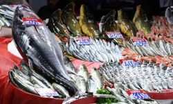 Elazığ Kapalı Çarşı'da 85 kiloluk orkinos tezgaha indi