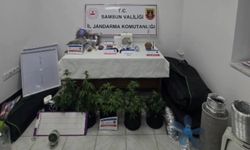 Elbise dolabında özel iklimlendirme sistemiyle uyuşturucu serası