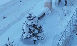 Erciş'te kar yağışı