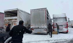 Erzincan'da yolda kalan 200 büyükbaş hayvana yem takviyesi