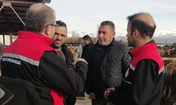 Erzincan'daki kesimhanelerde yağsız kesim uygulaması başladı