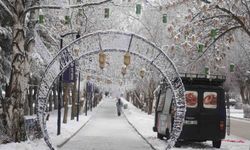 Erzurum'da soğuk havanın etkisiyle ağaçlar kırağı tuttu