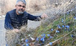 Erzurum'un bir yanı kış bir yanı bahar