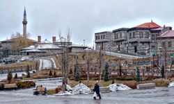 Erzurum'un nüfusu 736 bin 877 oldu